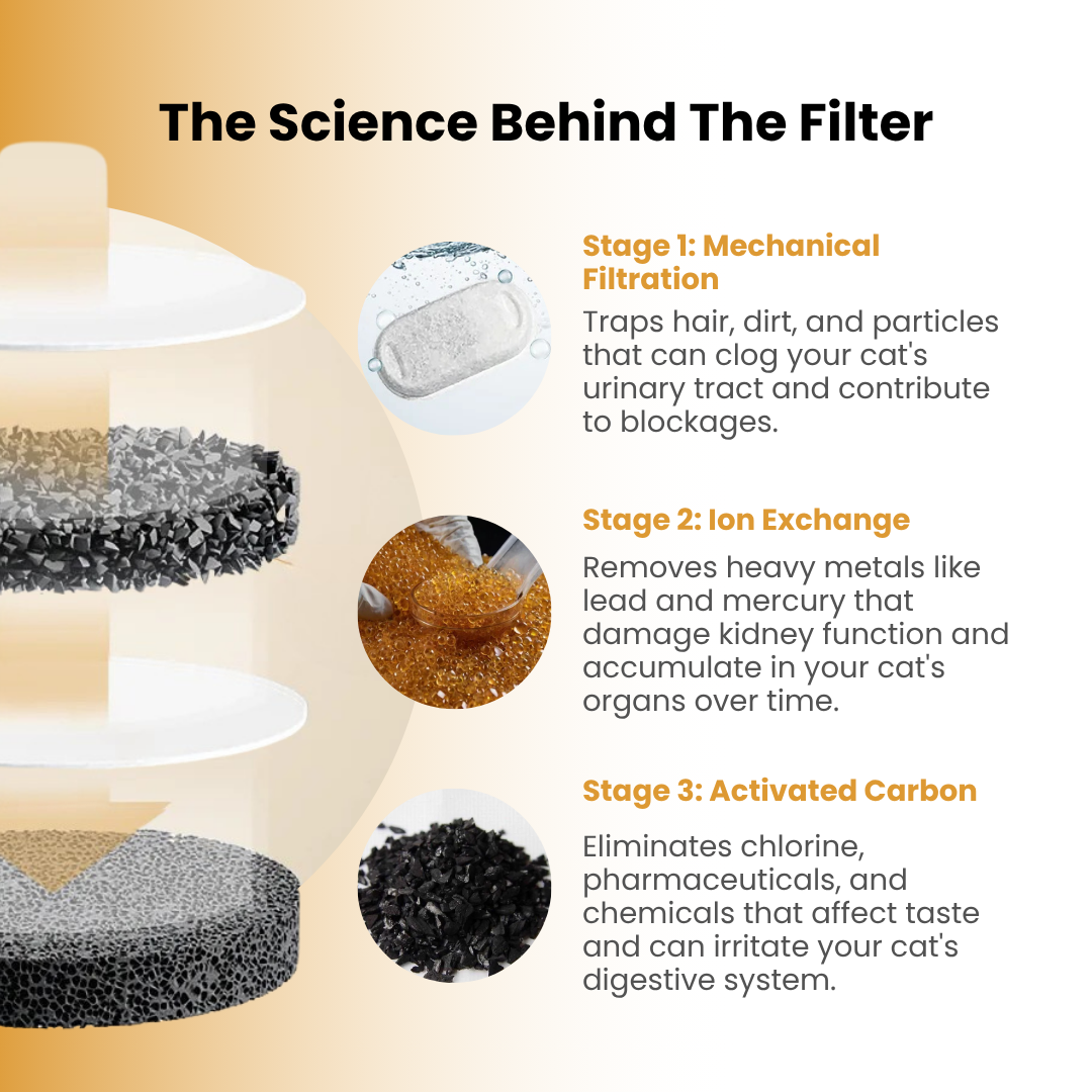 The MeowFlow™ Health & Happiness Cat Kit