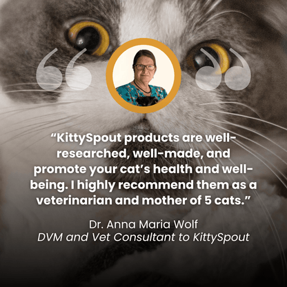 The MeowFlow™ Health & Happiness Cat Kit