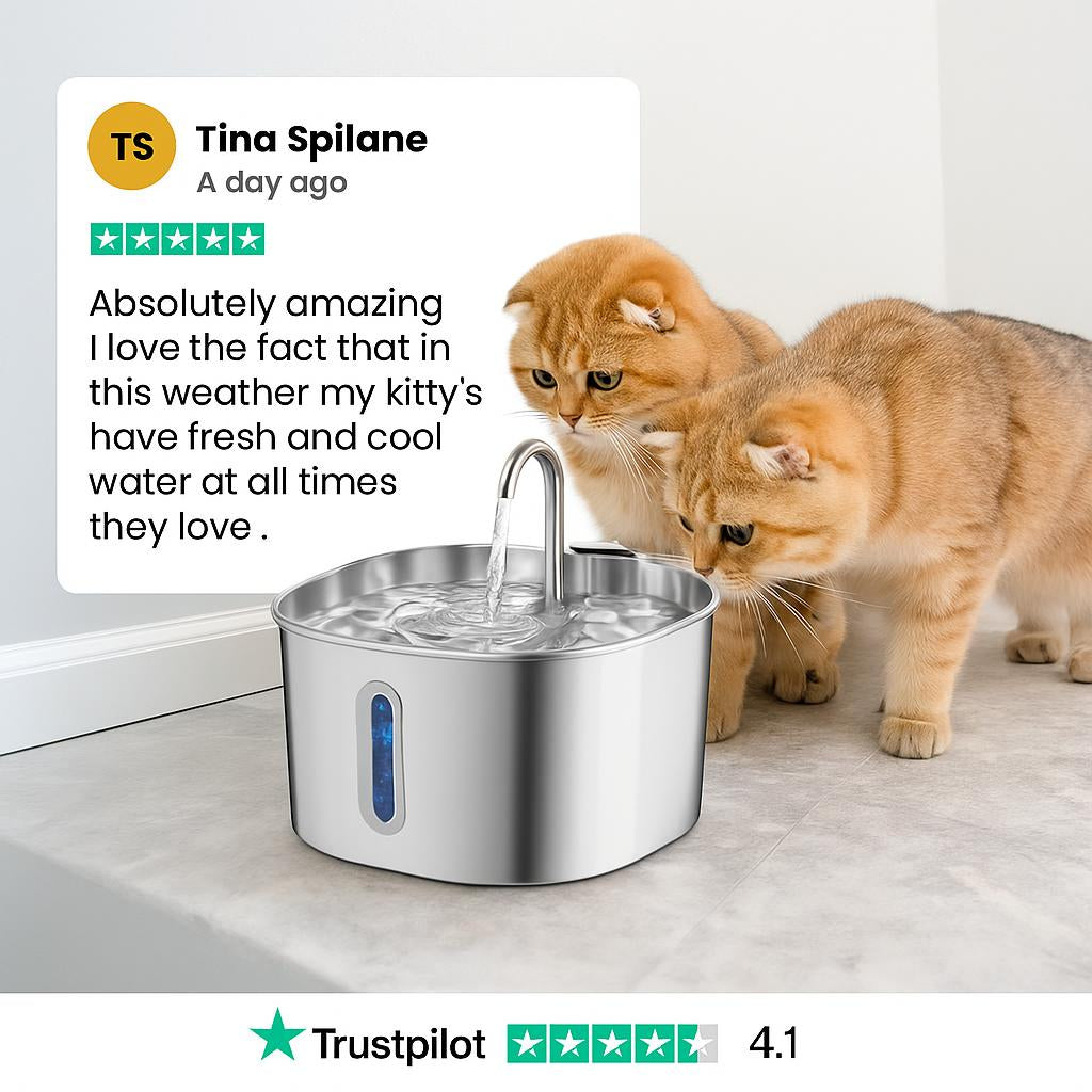 The MeowFlow™ Health & Happiness Cat Kit