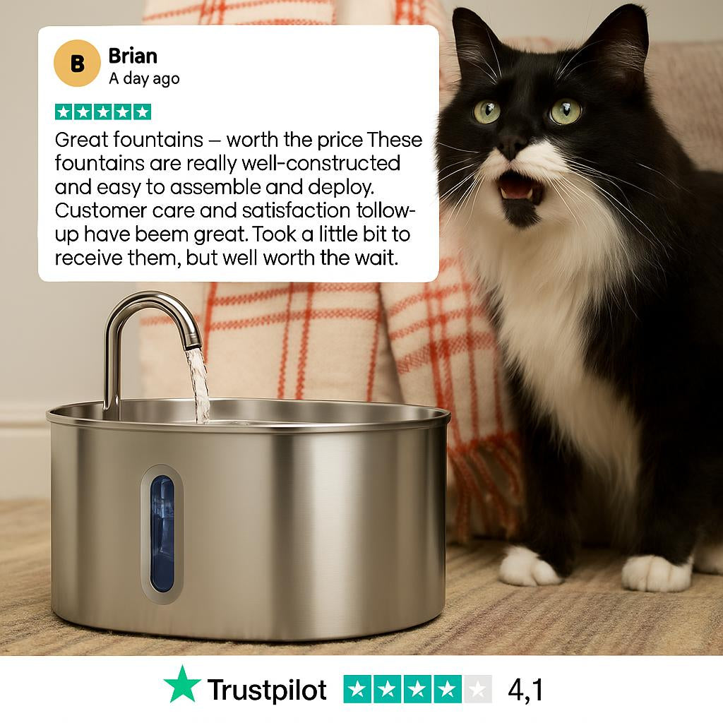 The MeowFlow™ Health & Happiness Cat Kit